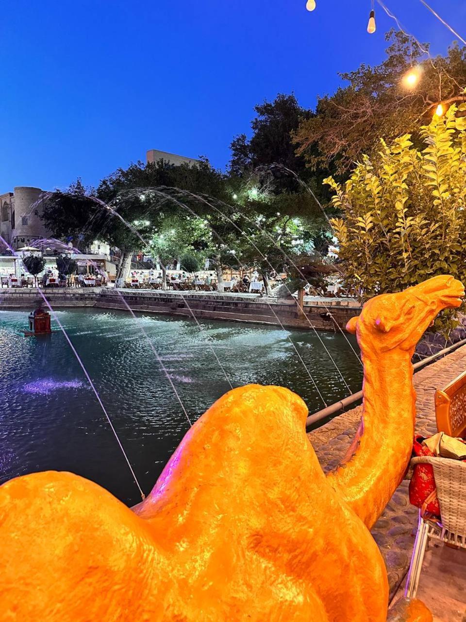 בוקורו Munis Hotel מראה חיצוני תמונה